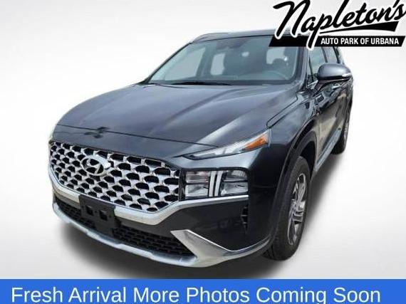 HYUNDAI SANTA FE 2023 5NMS3DAJ3PH627039 image